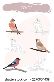 Preschool tasks for children illustrations
