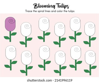 Preschool worksheet, trace the spiral lines and color the tulips. Vector Illustration worksheet of tulips for kindergarten. Educational activity handwriting practice book for fine motor skills.