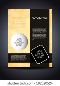 Presentation of elegant flyer or cover design. vector illustration