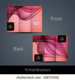 Presentation of elegant Tri Fold brochure design template.