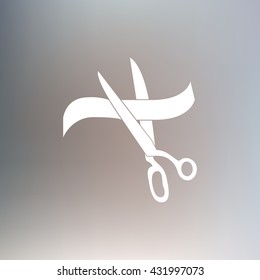 Presentation Flat icon on white background.