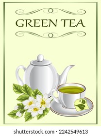 Presentation of green tea.Vector illustration with a cup, a teapot and a branch of a tea bush on a colored background with text.