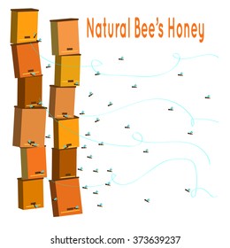 presentation page of pure organic honey. Page with bees, hives. Cartoon Vector illustration