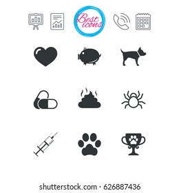 Presentation, report and calendar signs. Veterinary, pets icons. Dog paw, syringe and winner cup signs. Pills, heart and feces symbols. Classic simple flat web icons. Vector