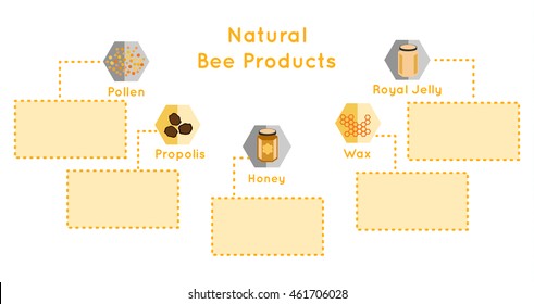 presentation template page of  Natural Bee Honey Products with place for your text. Page with honey, propolis, pollen, wax, Royal jelly and honeycomb. Vector illustration