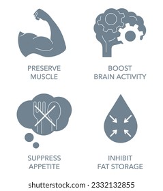 Preserve Muscle, Boost Brain Activity, Suppress Appetite, Inhibit Fat Storage - flat icons set for vitamins or nutrient supplements