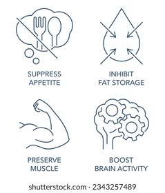 Preserve Muscle, Boost Brain Activity, Suppress Appetite, Inhibit Fat Storage - flat icons set in thin line for vitamins or nutrient supplements