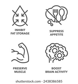 Preserve Muscle, Boost Brain Activity, Suppress Appetite, Inhibit Fat Storage - flat icons set in bold line for vitamins or nutrient supplements