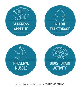 Preservar el músculo, aumentar la actividad cerebral, suprimir el apetito, inhibir el almacenamiento de grasa - iconos circulares establecidos en línea delgada, para vitaminas o suplementos nutricionales