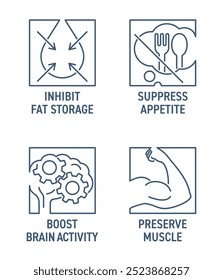 Muskelkonservierung, Steigerung der Gehirnaktivität, Appetitlosigkeit unterdrücken, Fettspeicherung hemmen - flache Symbole in dünnen Linien und quadratischen Formen, für Vitamine oder Nährstoffzusätze