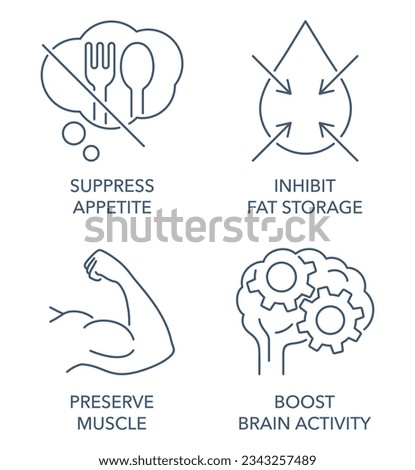 Preserve Muscle, Boost Brain Activity, Suppress Appetite, Inhibit Fat Storage - flat icons set in thin line for vitamins or nutrient supplements
