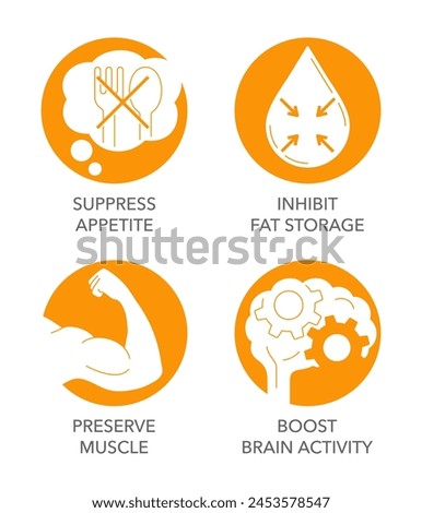 Preserve Muscle, Boost Brain Activity, Suppress Appetite, Inhibit Fat Storage - flat icons set with negative space for vitamins or nutrient supplements