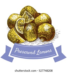 Preserved Lemons colorful illustration. Vector illustration of israeli cuisine.