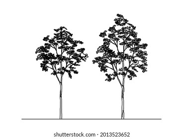 Preserved tree sketch vector design