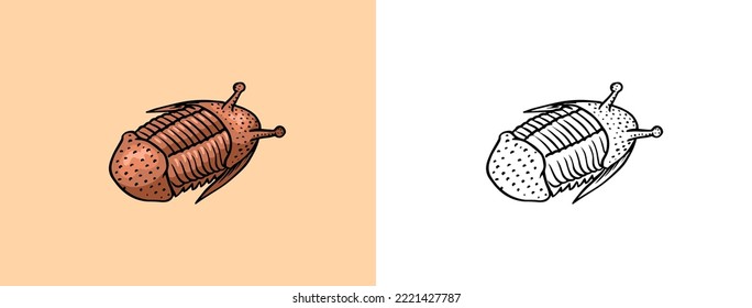 Preserved trilobite specimen. Fragment fossil, skeleton of prehistoric dead animal in stone. Archeology or paleontology. engraved hand drawn old vintage sketch. Vector illustration.