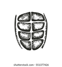 press drawing. vector illustration