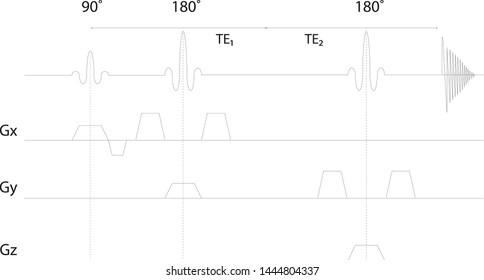 PRESS Magnetic Resonance Imaging MRI Sequence