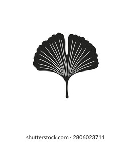 Pressed ginkgo leaf silhouette isolated on solid white background