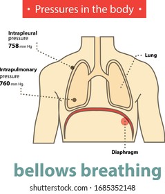 Pressure before inhale belows breathing