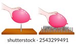 Pressure equals force divided by area. Balloon on bed of nails. Large area, small field. Low, high force. Surface press, kilogram by cubic meter. Physics experiment. Illustration vector	