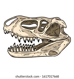 Prestosuchus chiniquensis fossilized skull hand drawn sketch image. Carnivorous pseudosuchians reptile dinosaur fossil illustration illustration