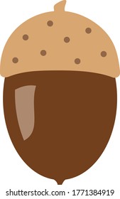 A pretty acorn of autumn in dark brown