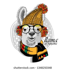 Pretty alpaca with glasses, knitted yellow hat and   scarf. Hand drawn illustration of dressed llama. Vector illustration.
