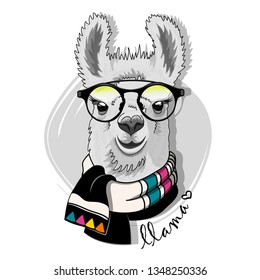 Pretty alpaca with glasses and scarf. Hand drawn illustration of dressed llama. Vector illustration.
