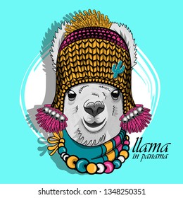 Pretty alpaca with necklace, knitted hat and   scarf. Hand drawn illustration of dressed llama. Vector illustration.
