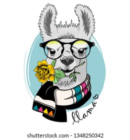 Hübsches Alpaca mit Rose, Brille und Schal. Handgezeichnete Illustration des gekleideten Lamas. Vektorgrafik.
