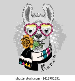 Pretty alpaca with rose, glasses and scarf. Hand drawn illustration of dressed llama. Vector illustration.
