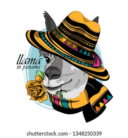 Pretty alpaca with rose, hat and  scarf. Hand drawn illustration of dressed llama. Vector illustration.
