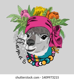 Pretty alpaca with wreath, flowers, necklace and pink turban. Hand drawn illustration of dressed llama. Vector illustration. 