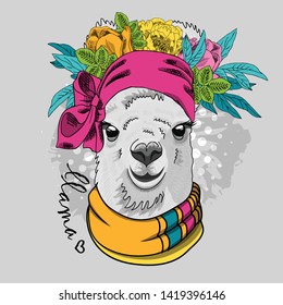 Pretty alpaca with wreath, flowers, scarf and pink turban. Hand drawn illustration of dressed llama. Vector illustration. 2