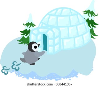 The pretty baby penguin comes back to the house