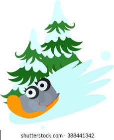 Pretty baby penguins on a sled