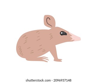 pretty bandicoot design over white