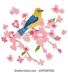 pretty bird in flowers of cherry