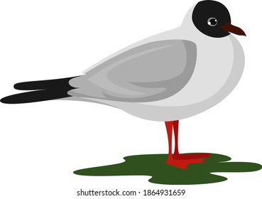 Pretty bird, illustration, vector on white background.