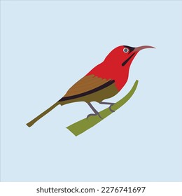 Una bonita obra de arte vectorial de aves