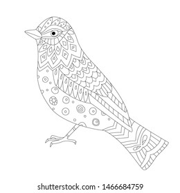pretty bird for your coloring page