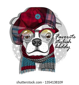 Pretty boxer with glasses, checkered hat and knitted scarf. Hand drawn illustration of dressed dog.  Vector illustration.