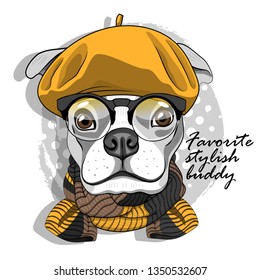 Pretty boxer with glasses, yellow hat and scarf. Hand drawn illustration of dressed dog.  Vector illustration.