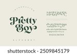 Pretty Boy Luxury alphabet letters font. Typography Elegant classic serif fonts and number decorative logo wedding vintage retro concept. vector illustration