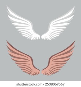pretty brown and white angel wings illustration