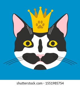 pretty cat with crown on blue background. vector illustration