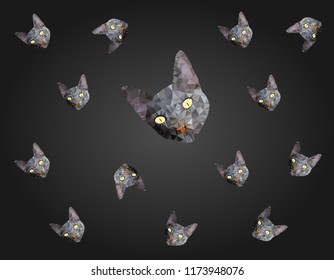 Pretty Cat head on black background, gray kitten low polygon, animal crystal design illustration, modern geometric graphic