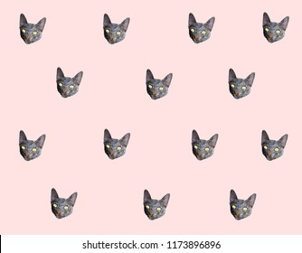 Pretty Cat head on pink background, gray kitten low polygon, animal crystal design illustration, modern geometric graphic