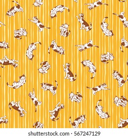 Pretty cat pattern