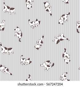 Pretty cat pattern